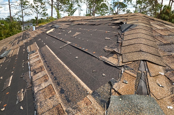 Storm Damage Tualatin